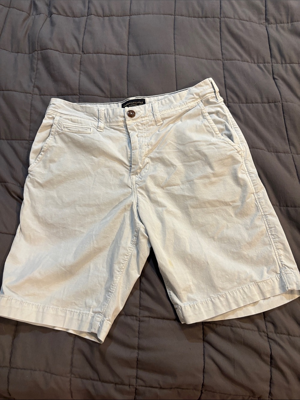 American Eagle Outfitters Men's Light Beige Flat Front Shorts